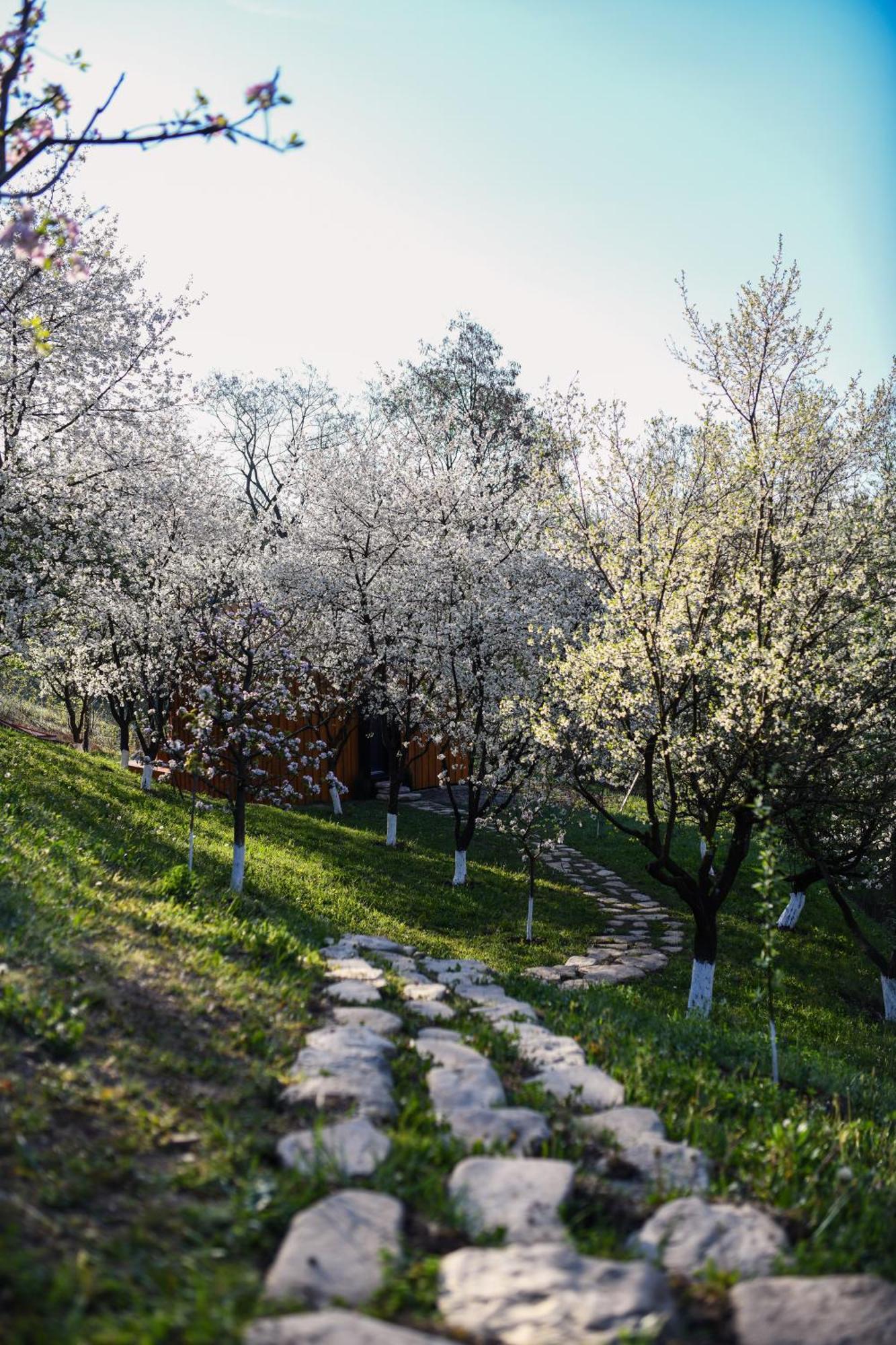 Casuta Din Livada Villa Măneciu Buitenkant foto
